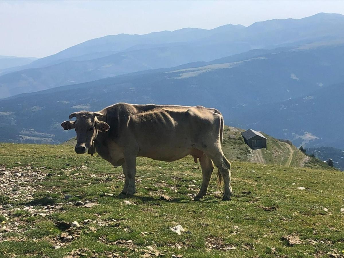 Вилла Panoramic Xalet La Molina Con Vistas Excelentes Экстерьер фото